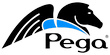 Client Pega Systems