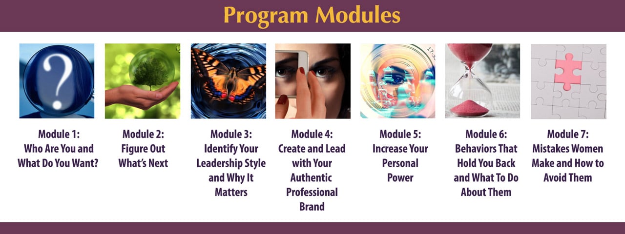Program Modules