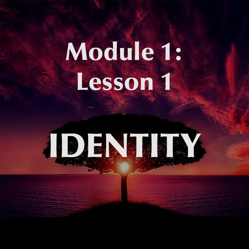 Module 1 Lesson 1 Identity