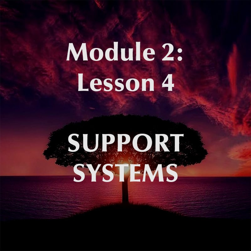 Module 2, Lesson 4, Support Systems