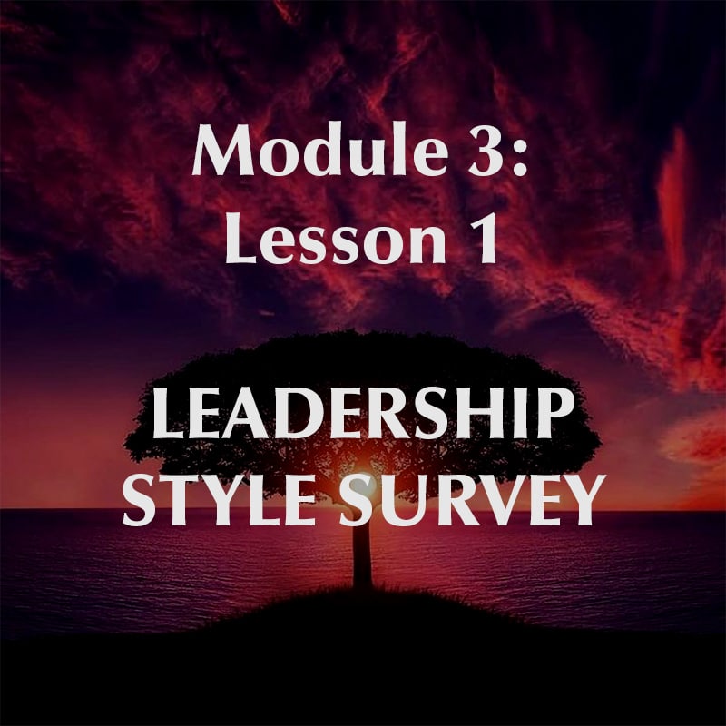 Module 3, Lesson 1, Leadership Style Survey
