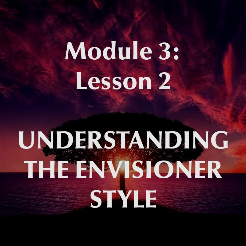 Module 3, Lesson 2, Understanding the Envisioner Style