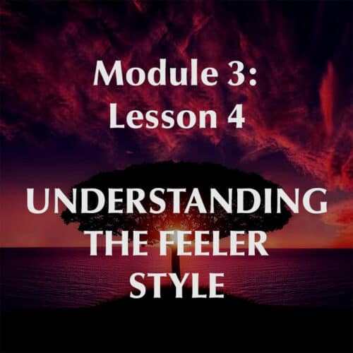 Understanding the Feeler Style
