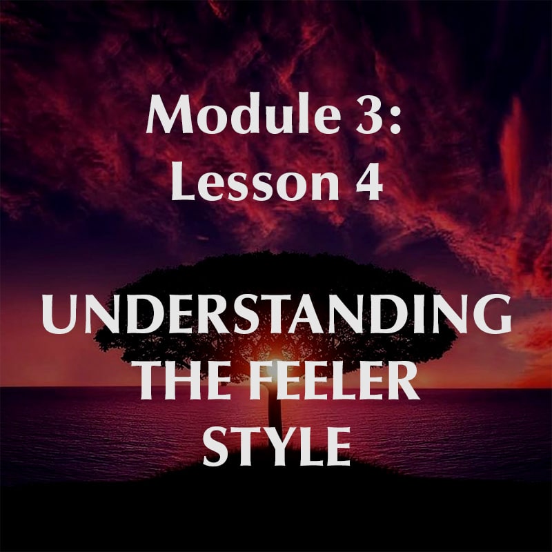 Module 3, Lesson 4, Understanding the Feeler Style