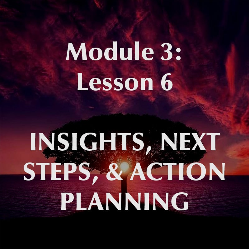 Module 3, Lesson 6, Insights, Next Steps, and Action Planning