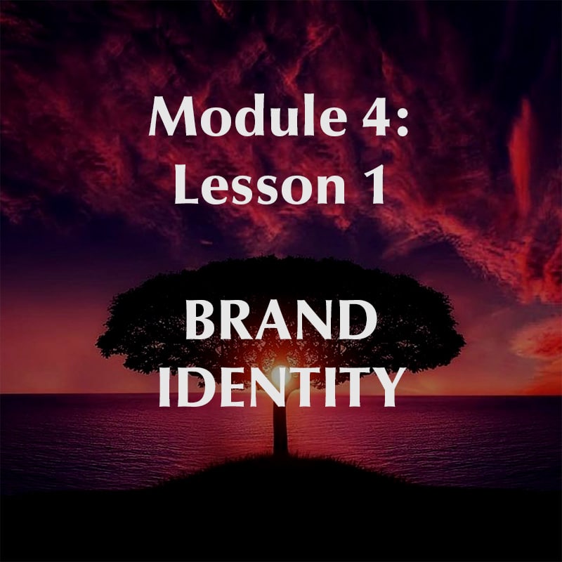Module 4, Lesson 1, Brand Identity