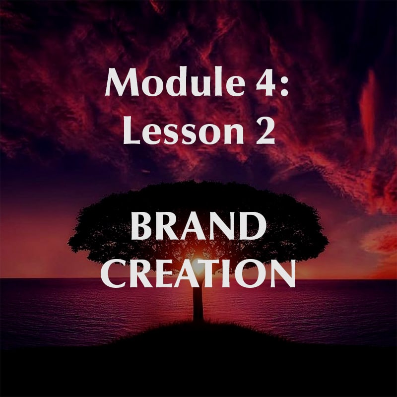 Module 4, Lesson 2, Brand Creation