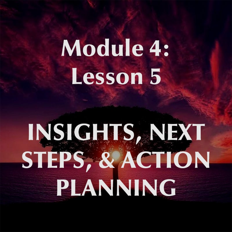 Module 4, Lesson 5, Insights, Next Steps, and Action Planning