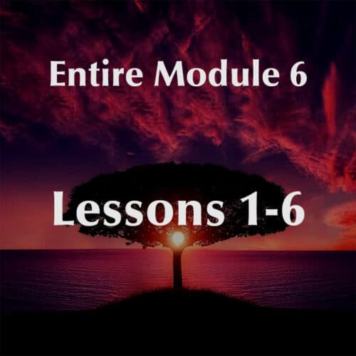 Entire Module 6 Lessons