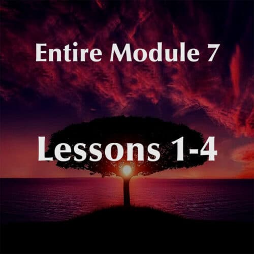 Entire Module 7 Lessons