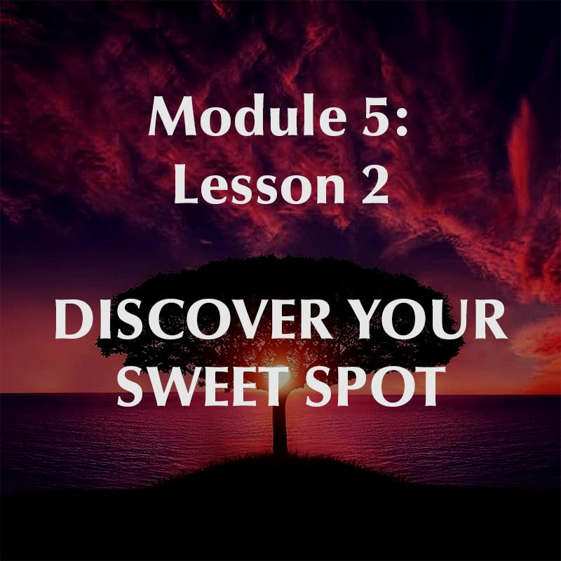Module 5, Lesson 2, Discover Your Sweet Spot
