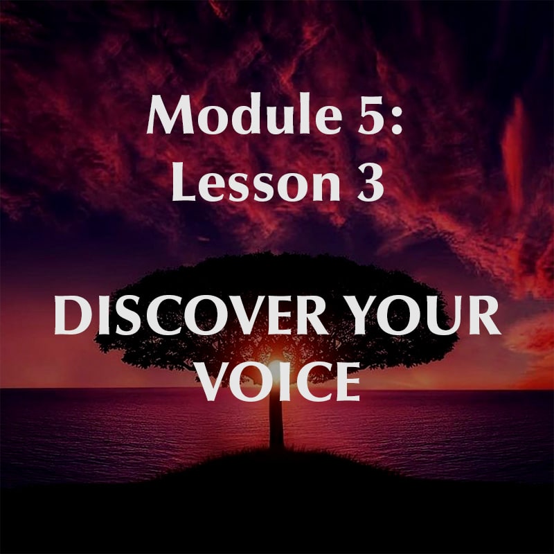 Module 5, Lesson 3, Discover Your Voice