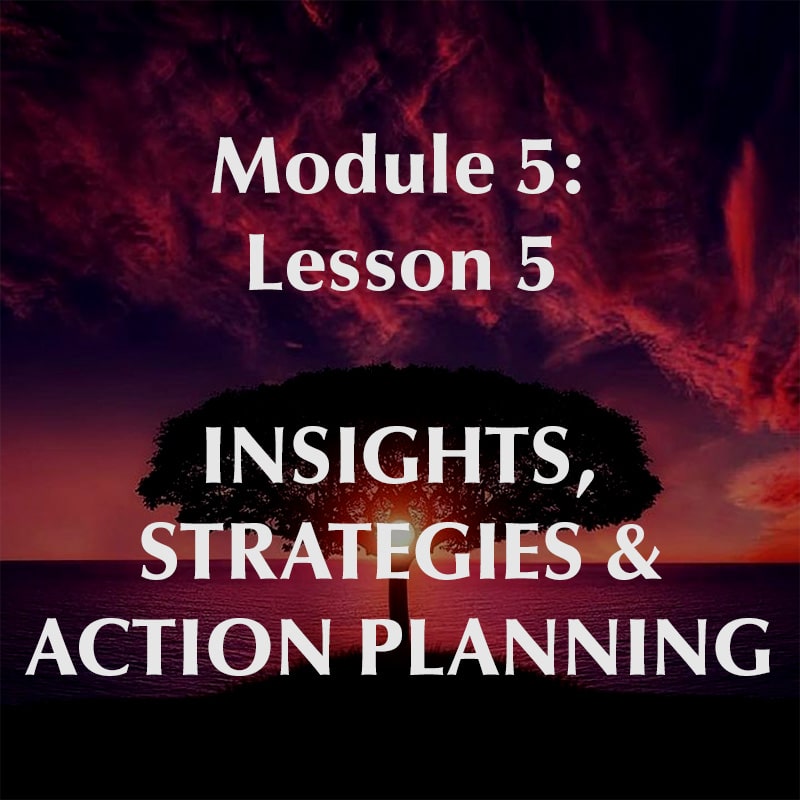 Module 5, Lesson 5, Insights, Strategies & Action Planning