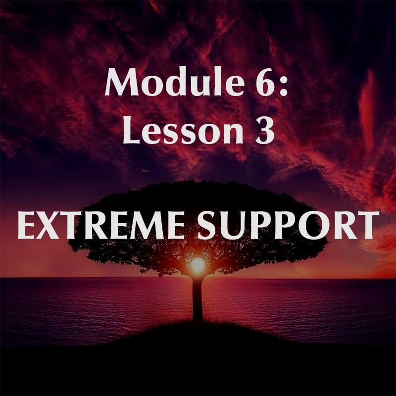 Module 6, Lesson 3, Extreme Support