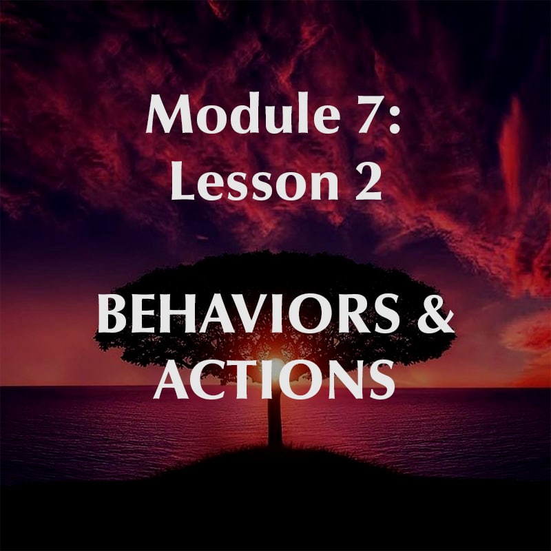 Module 7, Lesson 2, Behavior and Actions
