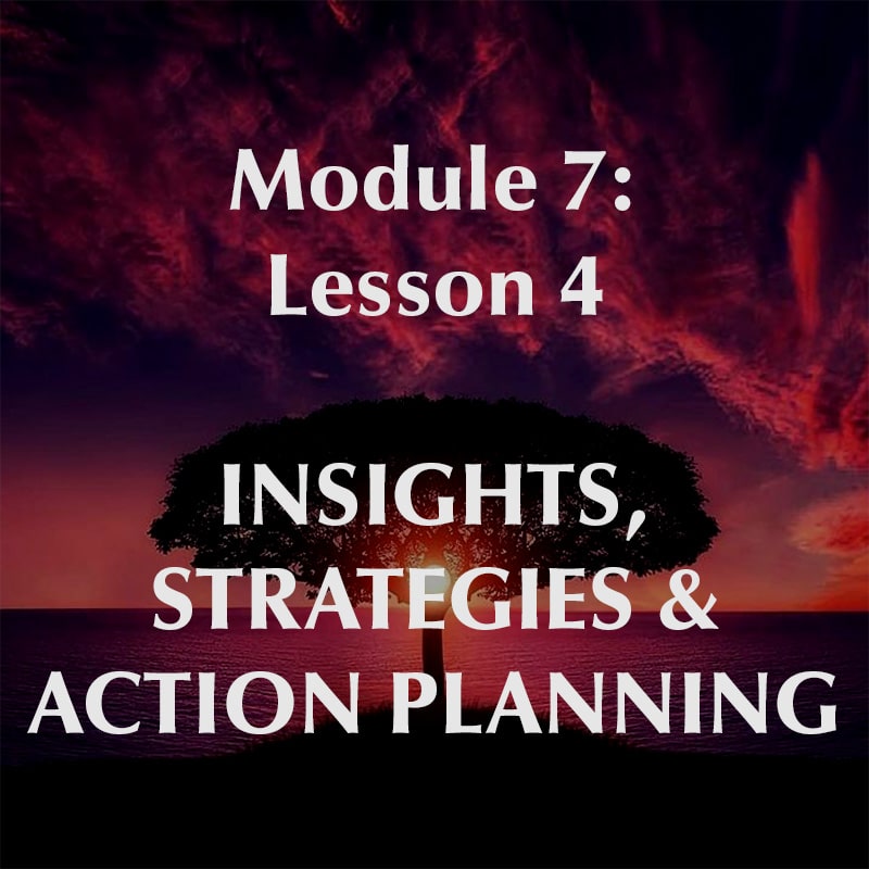 Module 7, Lesson 4, Insights, Strategies, & Action Planning